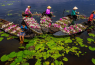 Gợi ý du lịch miền Tây - Thuê xe có tài xế đưa đón tận nơi